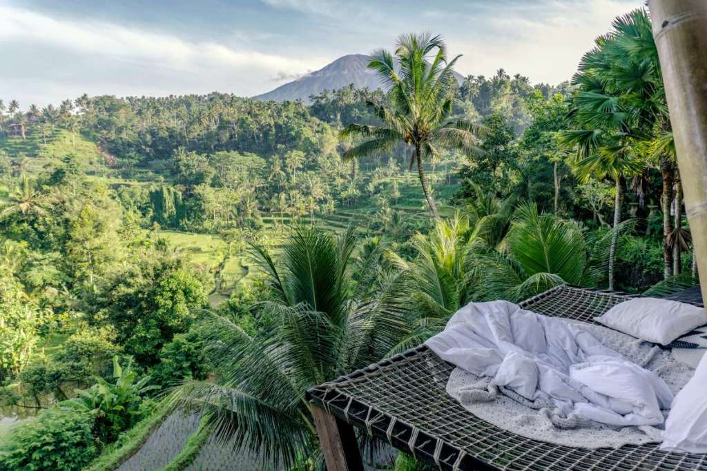 treehouse accommodation with a view in bali