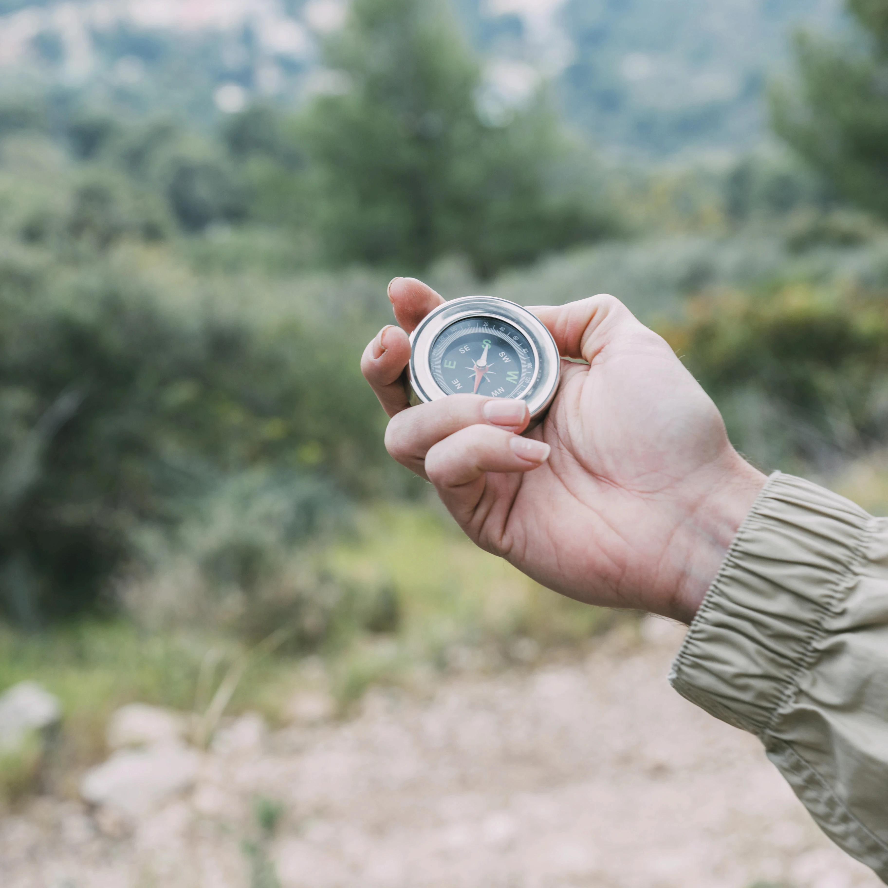 La Brújula Estratégica de Anthea