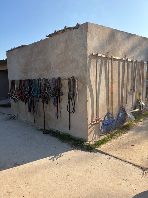 les installations du Ranch Pegase.