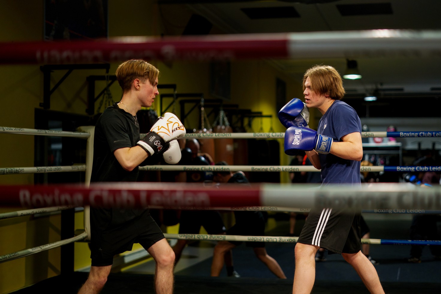 Groepstraining boksen in Zwolle voor beginners in een motiverende sfeer.