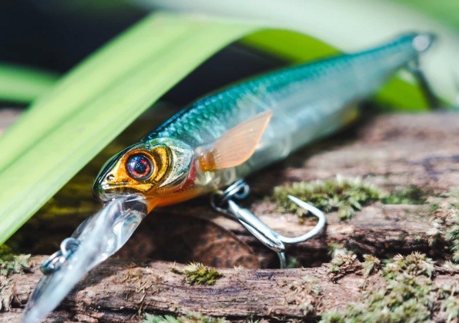 Chasebaits fishing lure resting on a log