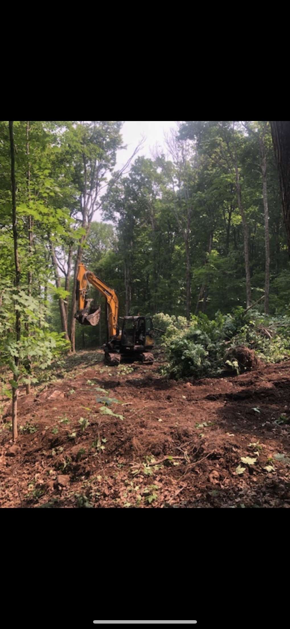 truck beside a pile of trees 