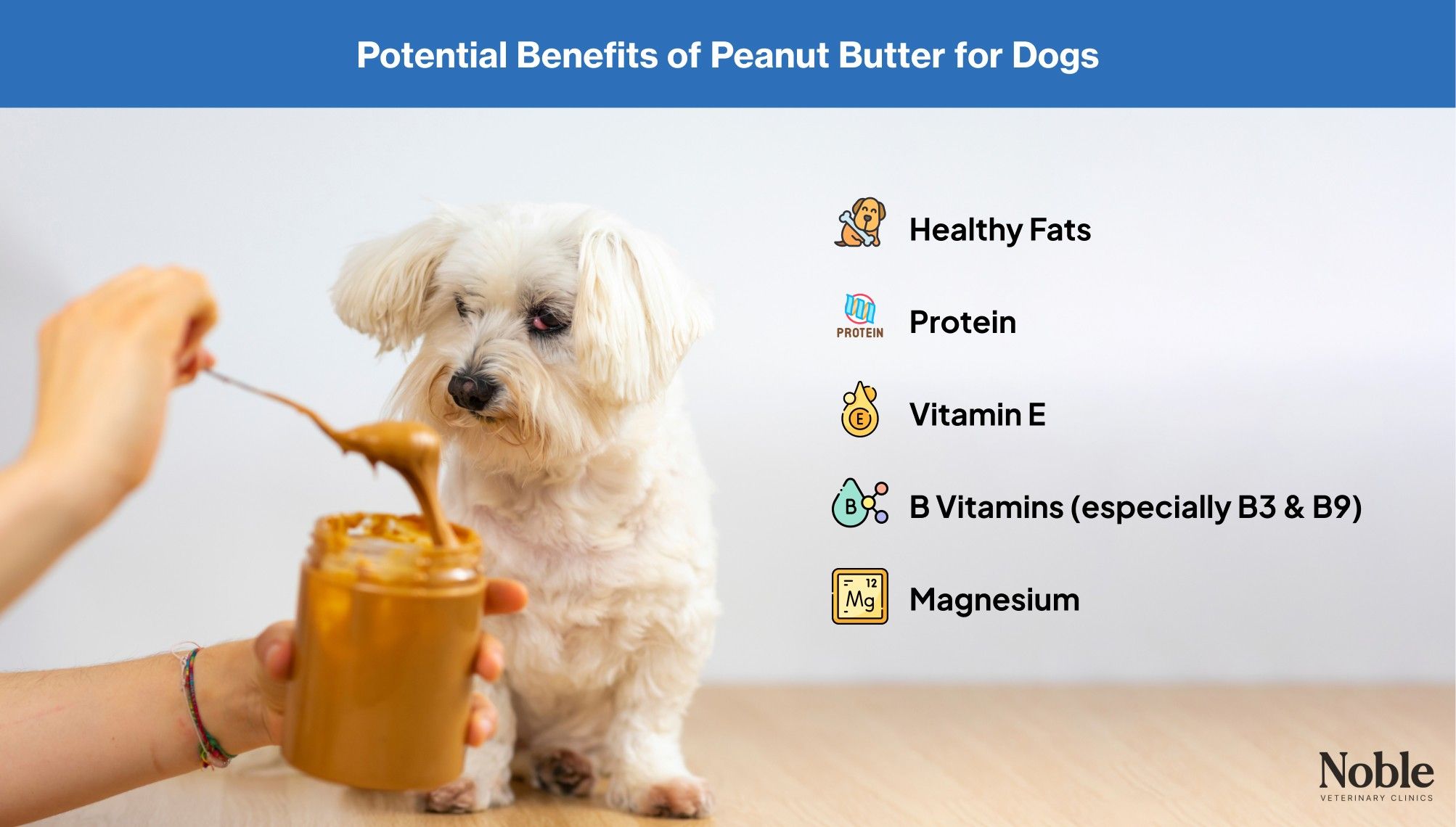 Potential benefits of peanut butter to dogs.