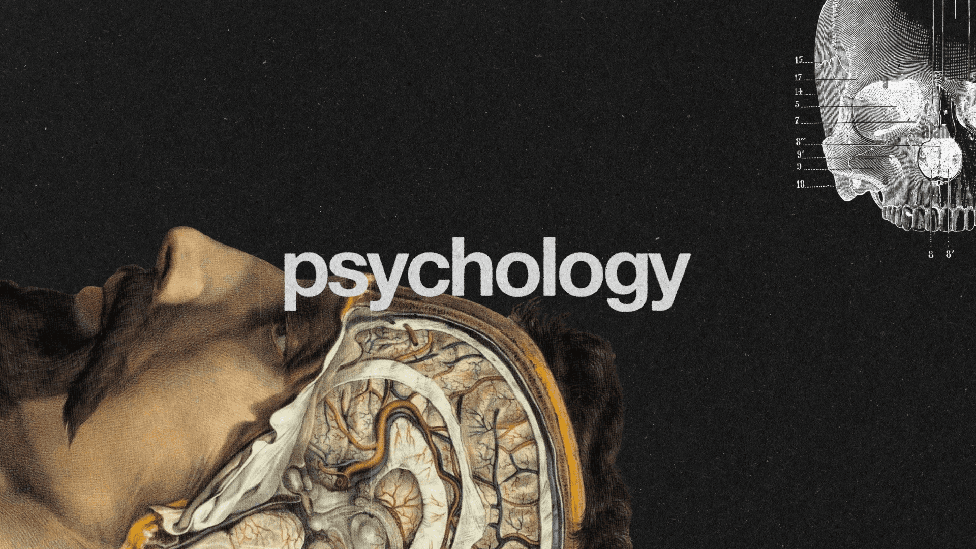 The Absurdist | Art Direction Agustin Eguia