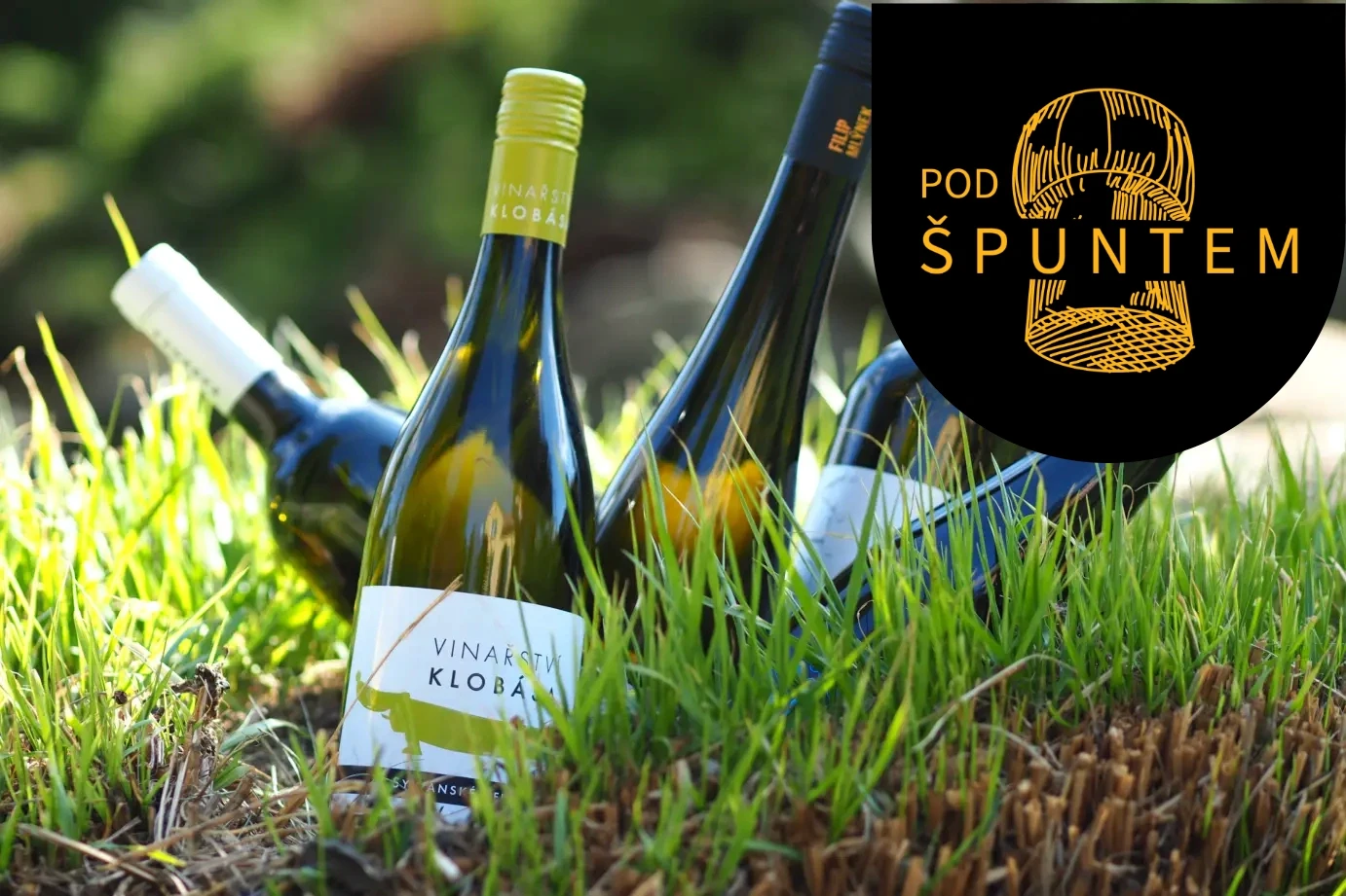 velkoobchod pod špuntem, bosecco pod špuntem velkoobchod