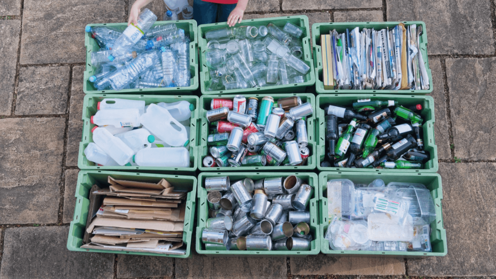 Looking to go greener in 2024? Making sustainability a New Year’s resolution for your business is a great way to start the year, save costs and take responsibility for your impact on the planet.