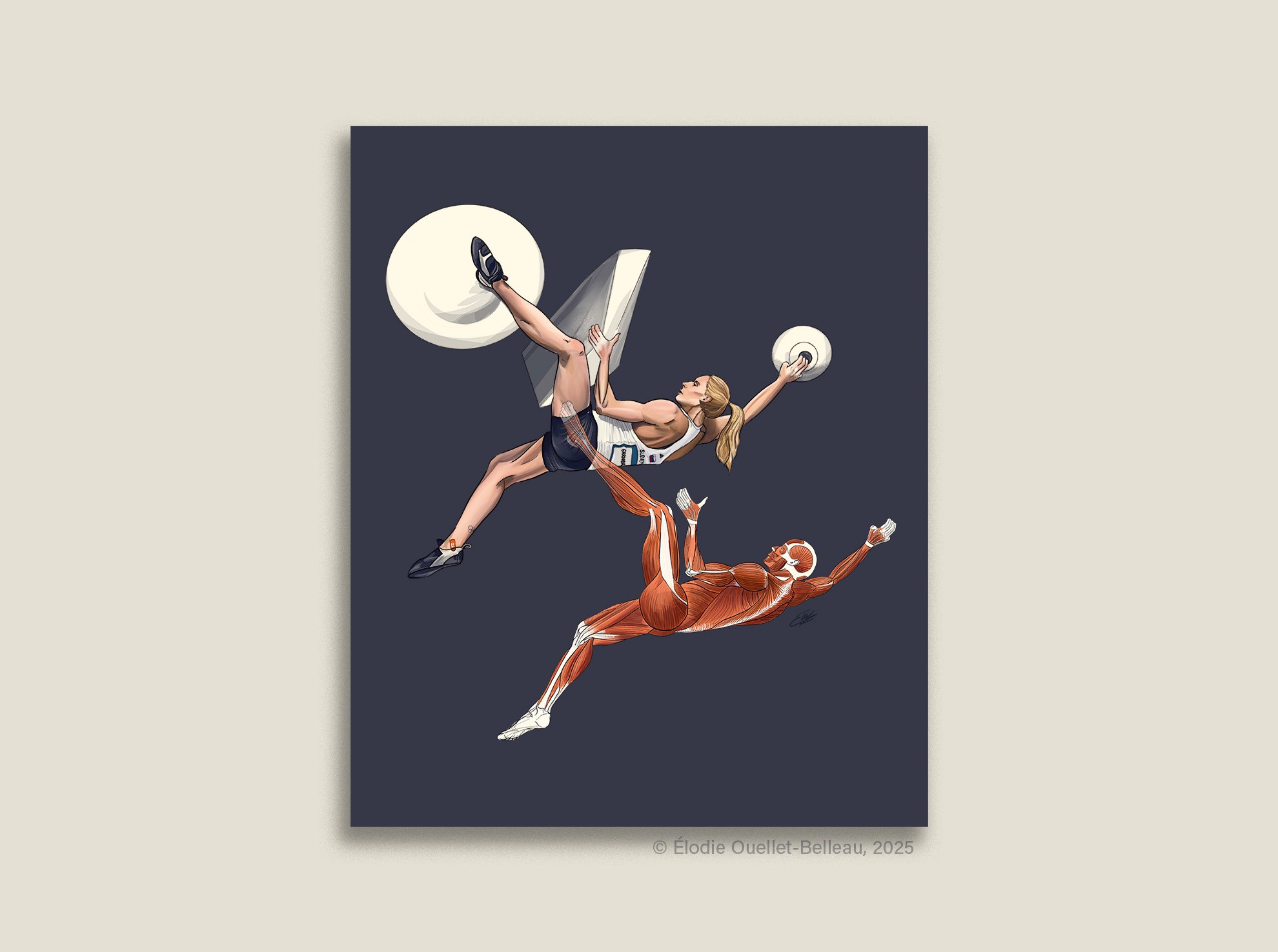 Mockup de l'illustration scientifique d'une grimpeuse et de son anatomie pendant un mouvement d'escalade par l'illustratrice scientifique Élodie Ouellet-Belleau