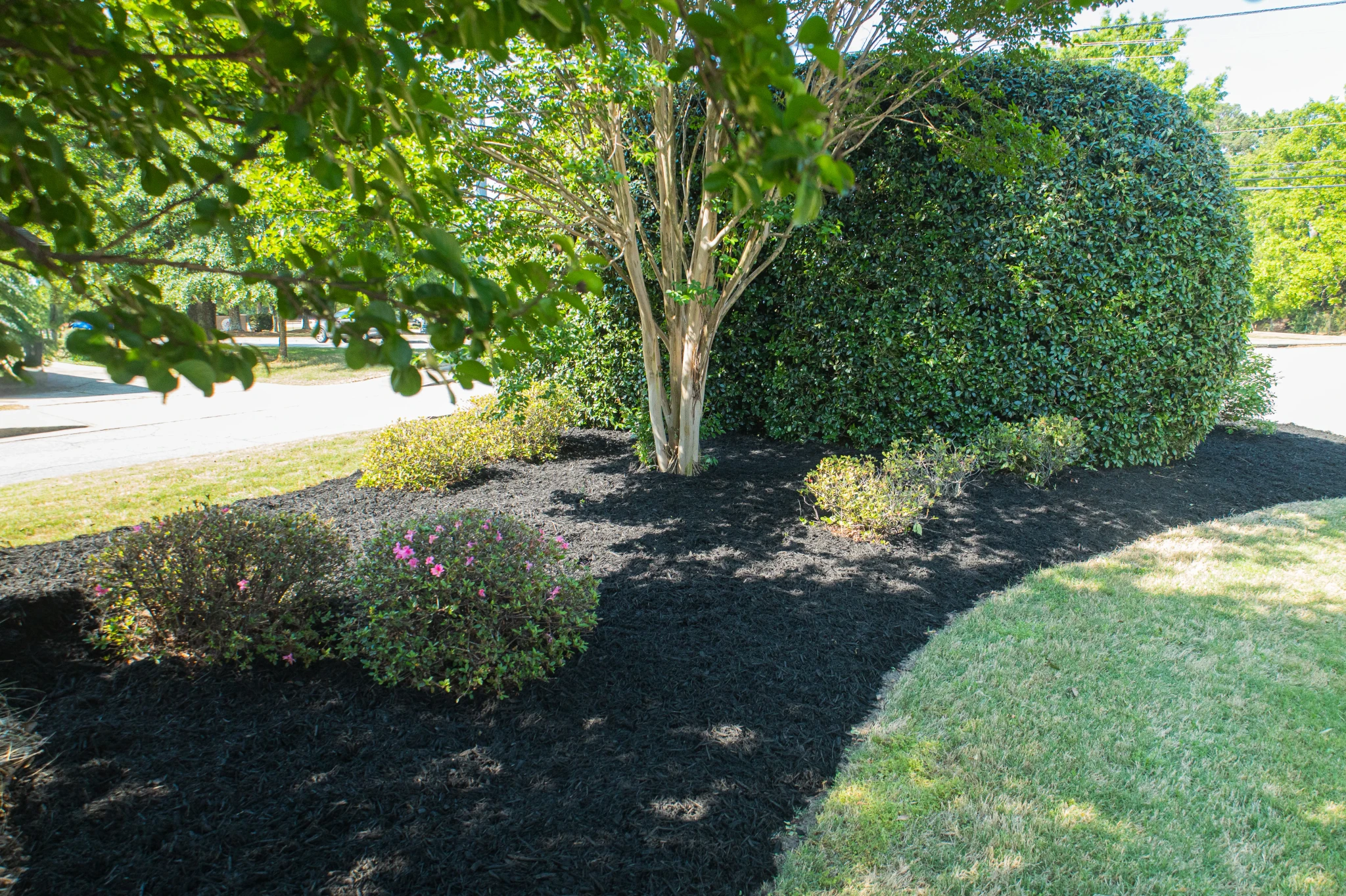 Fresh mulch installation around flower beds and landscaping