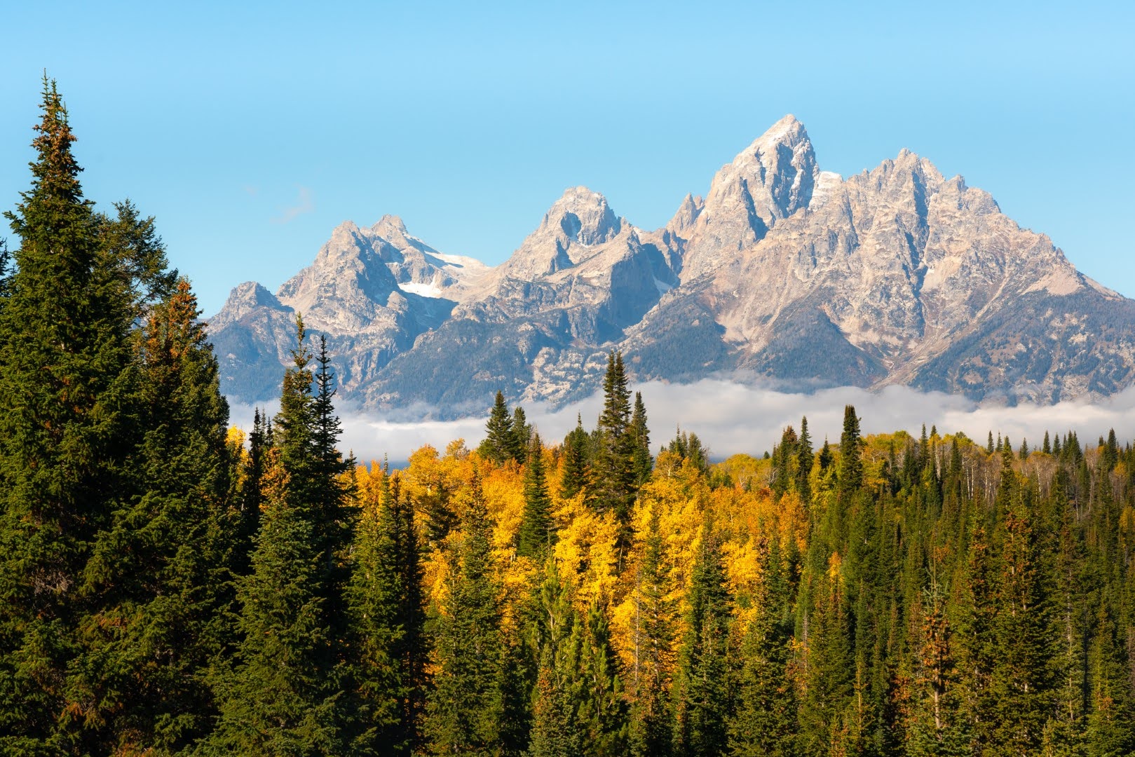 Paysage du parc national de Grand Téton avec les montagnes en arrière-plan