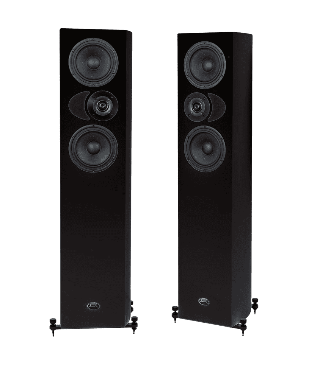 Naim NAPS 555 DR in situation