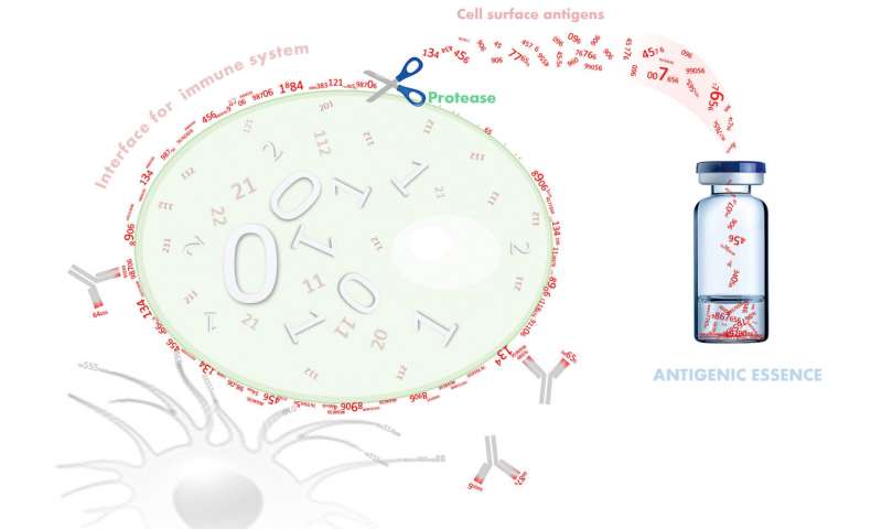 Schematic of a cell