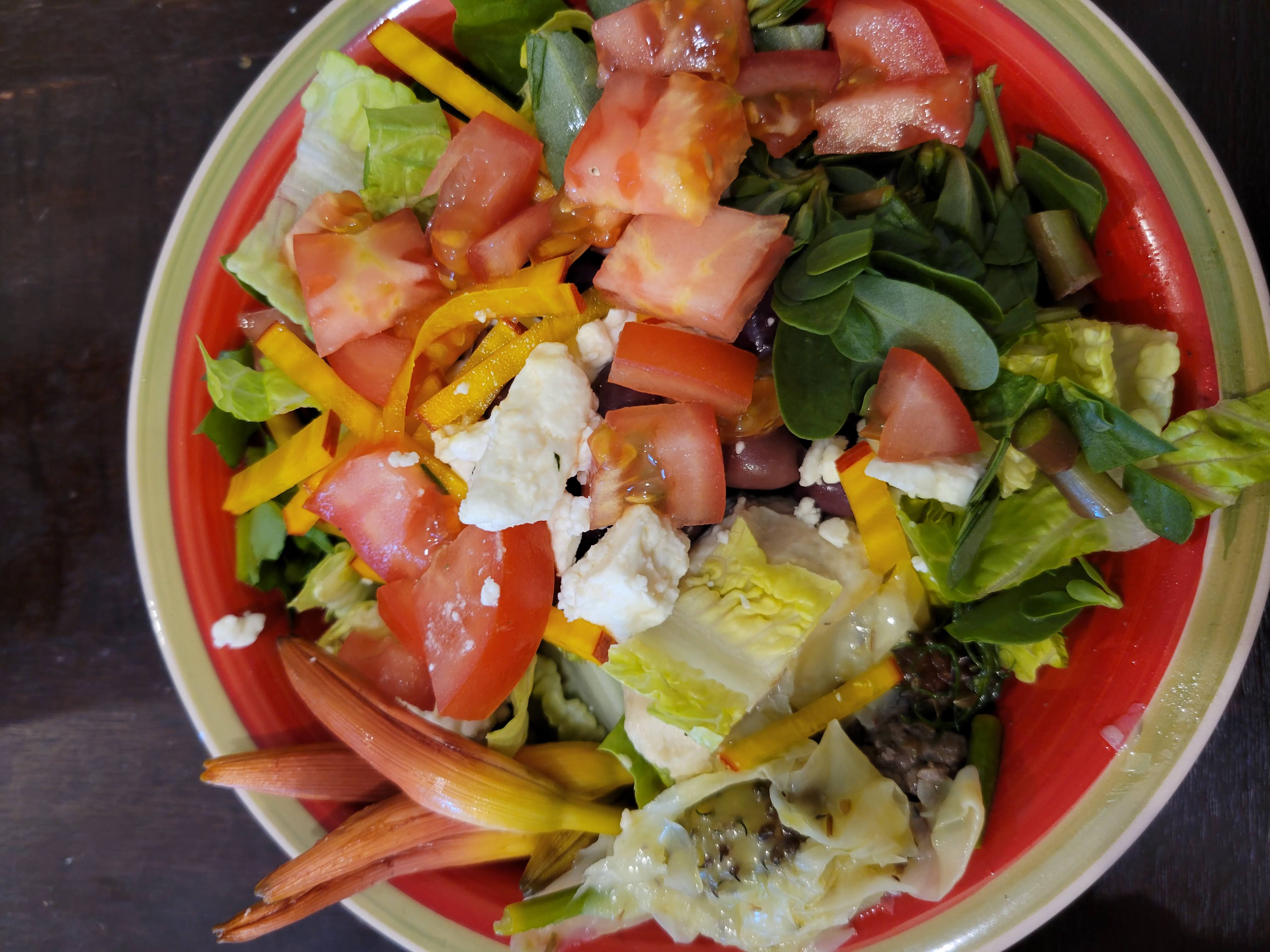 Fresh wild greens and berries in a wooden bowl, representing the hands-on results of Foraging Academy’s certification classes.