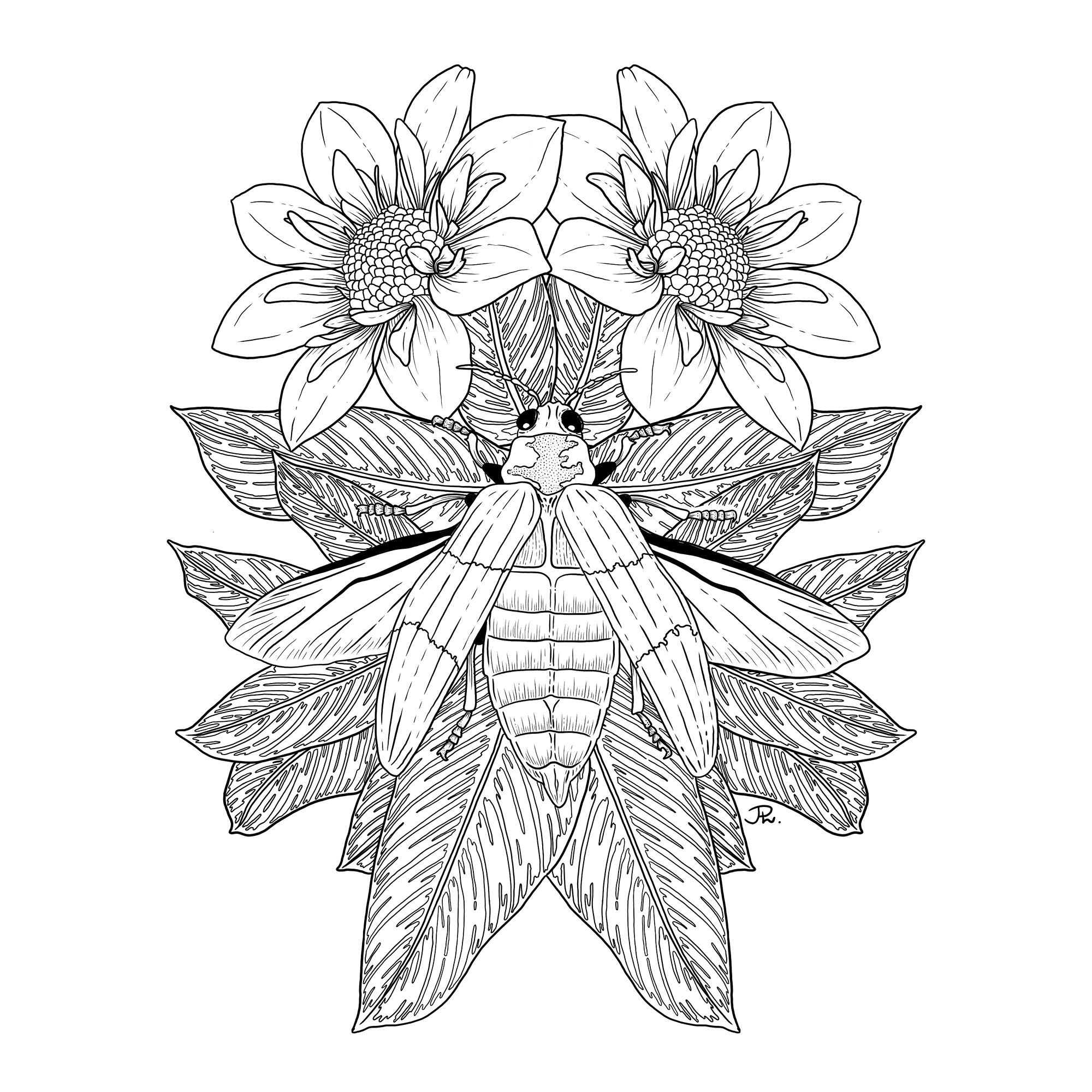 The image featured at the top of the about us page #1