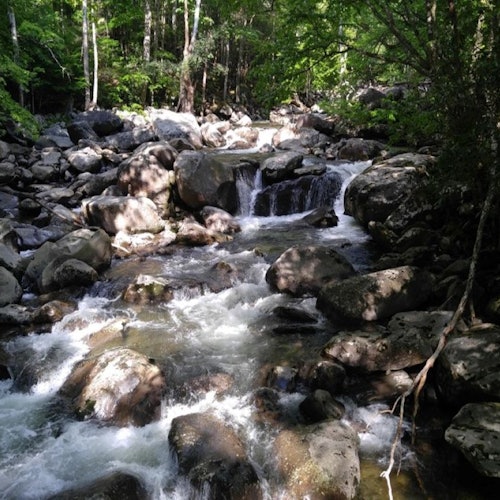 Sights of the Smokies