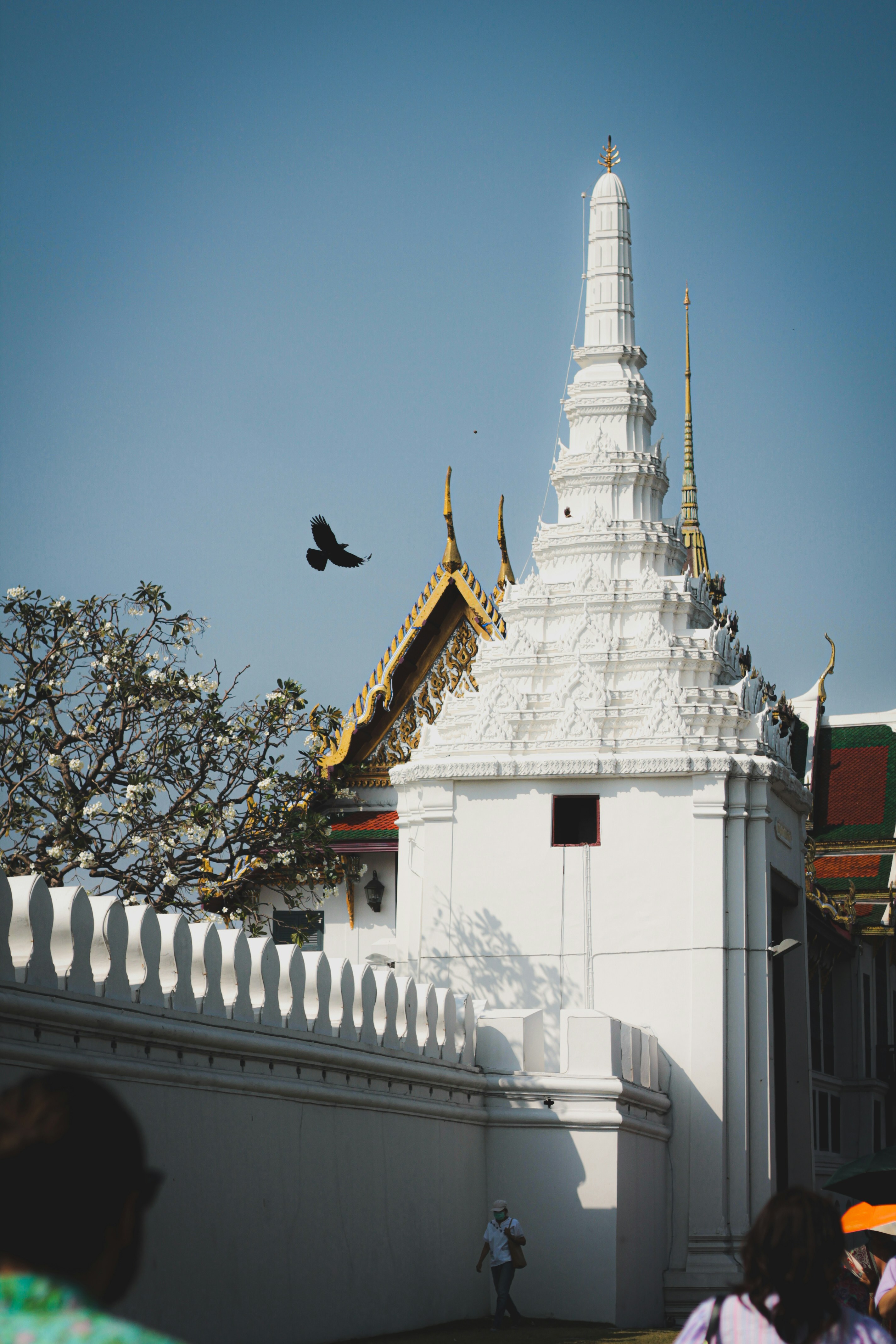 White temple with ornate roof and flying bird.