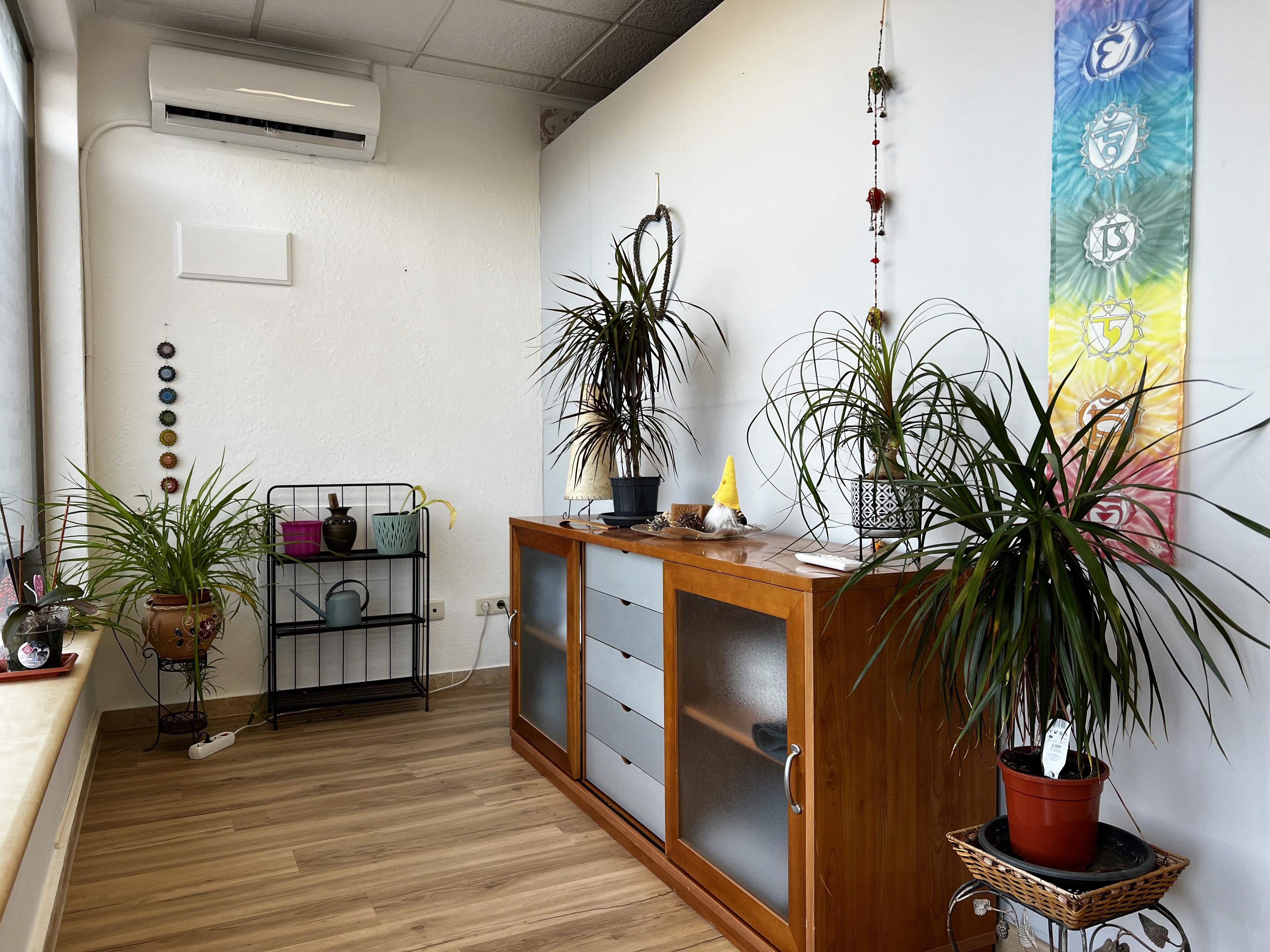 Manos del terapeuta durante una sesión de masaje