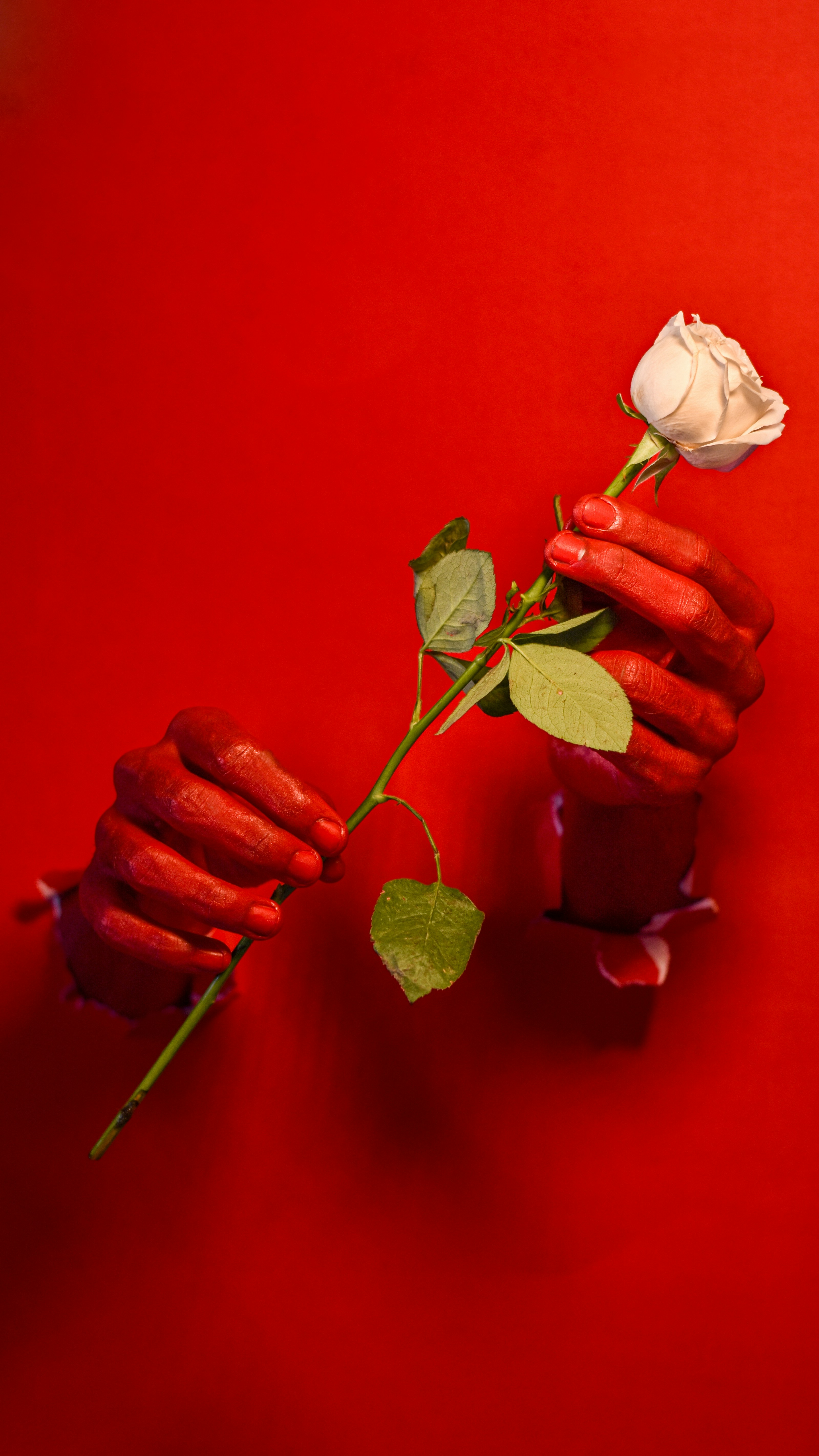 a woman with dreadlocks standing in front of a wall