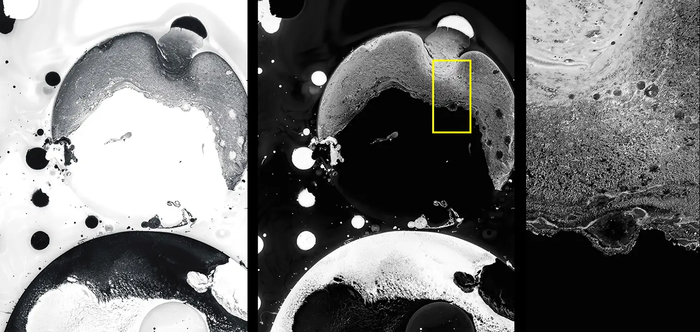 Milch ink in milk textures monochrome detail with sharp circular bubble patterns and flowing ink waves