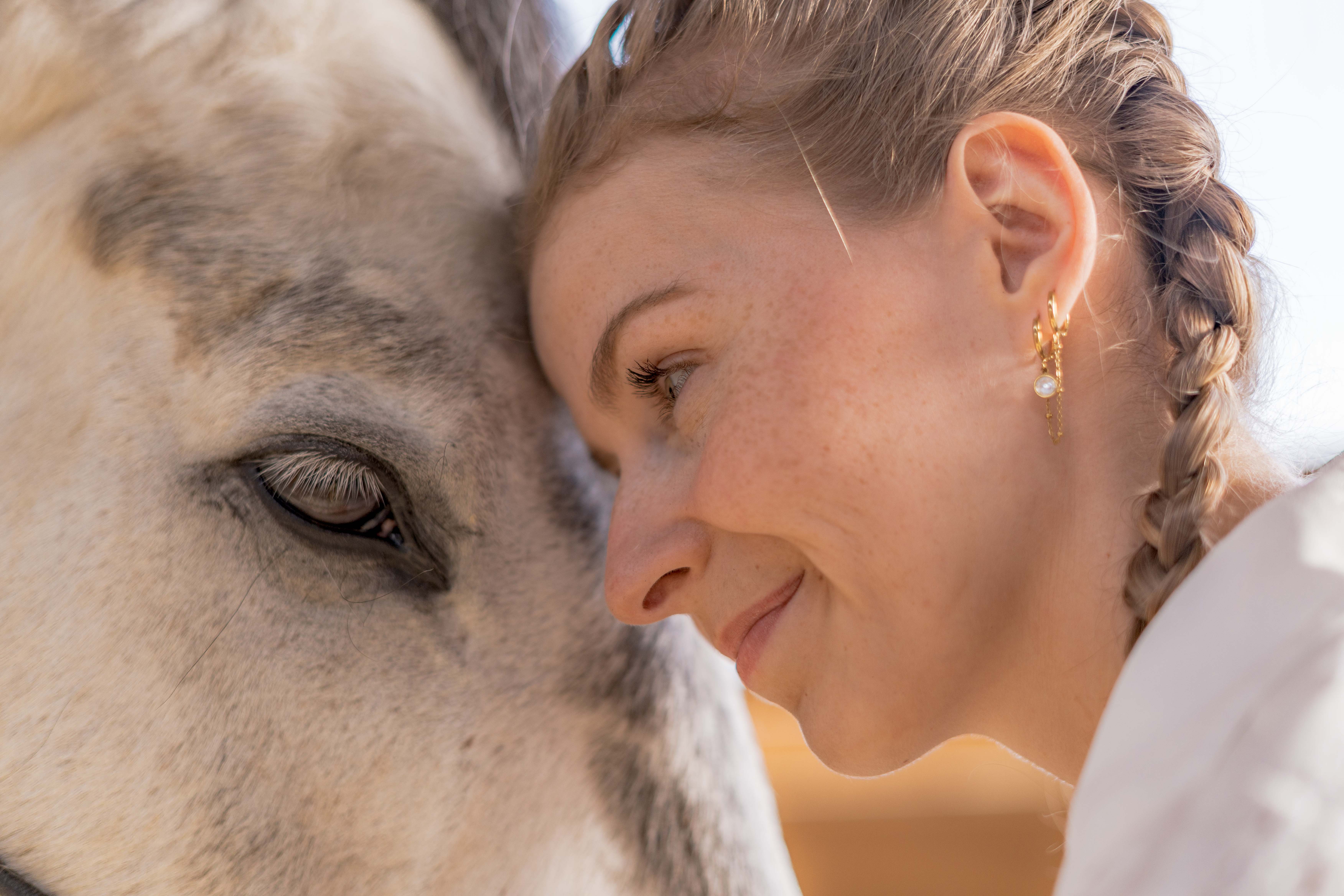 Portrait visage femme posée sur tête cheval