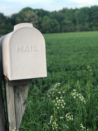 shallow focus photography of gray mailbox illustrating the french mail