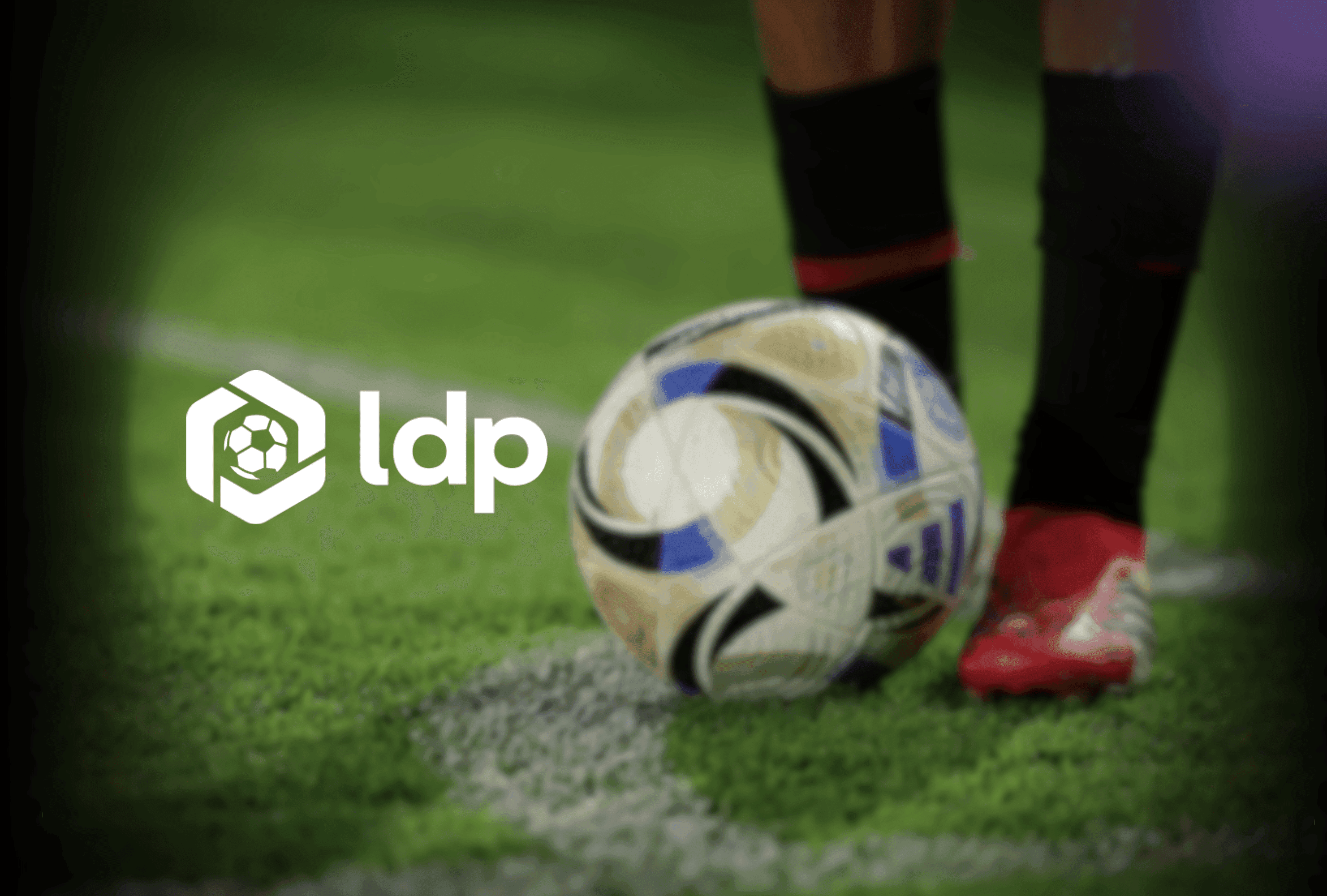 Market-snapshot-2025-LDP