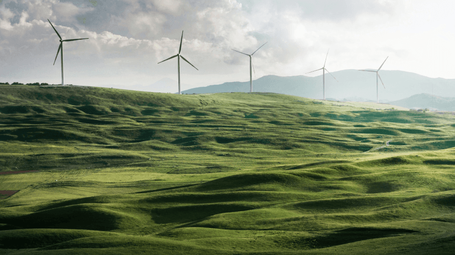 An image of a wind turbines on a grassy hill showing energy efficiency