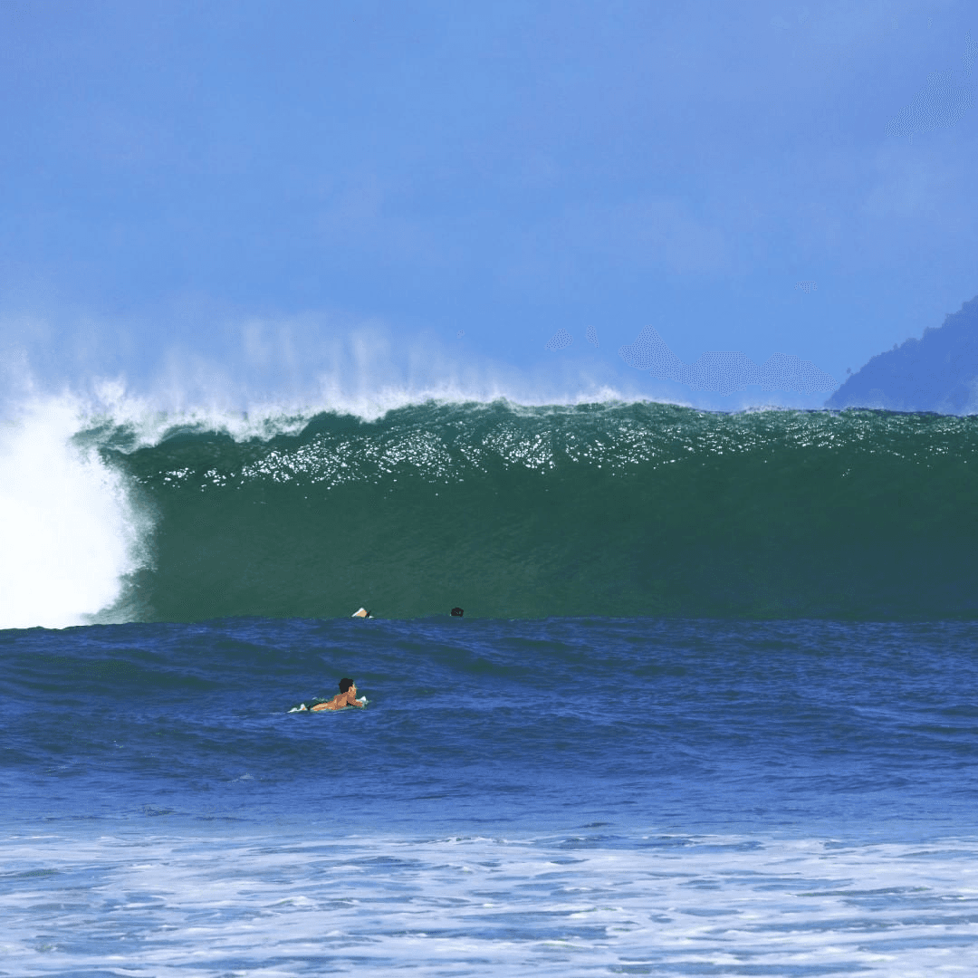 Surfer paddling out to catch big wave – surfboard rental in pavones