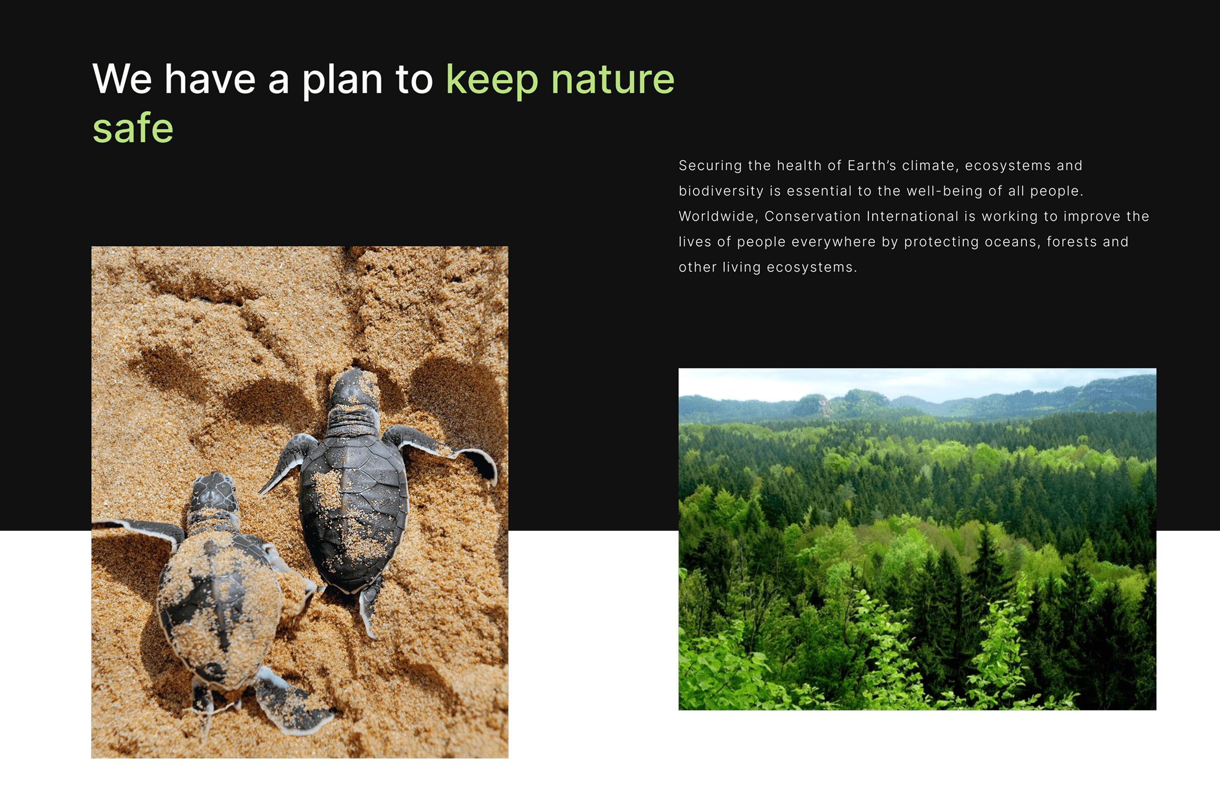 Image showing the goal of Conservation International