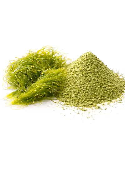 isolated SPIRULINA PEPTIDES plant and powder side by side on a white background.