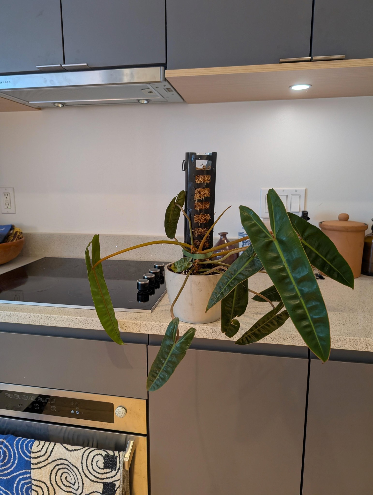 mockup: mixmaster edit ingredients and recipe screens