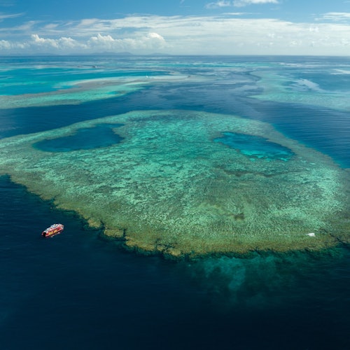 外圍礁浮潛冒險