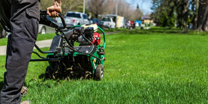 lawn aeration