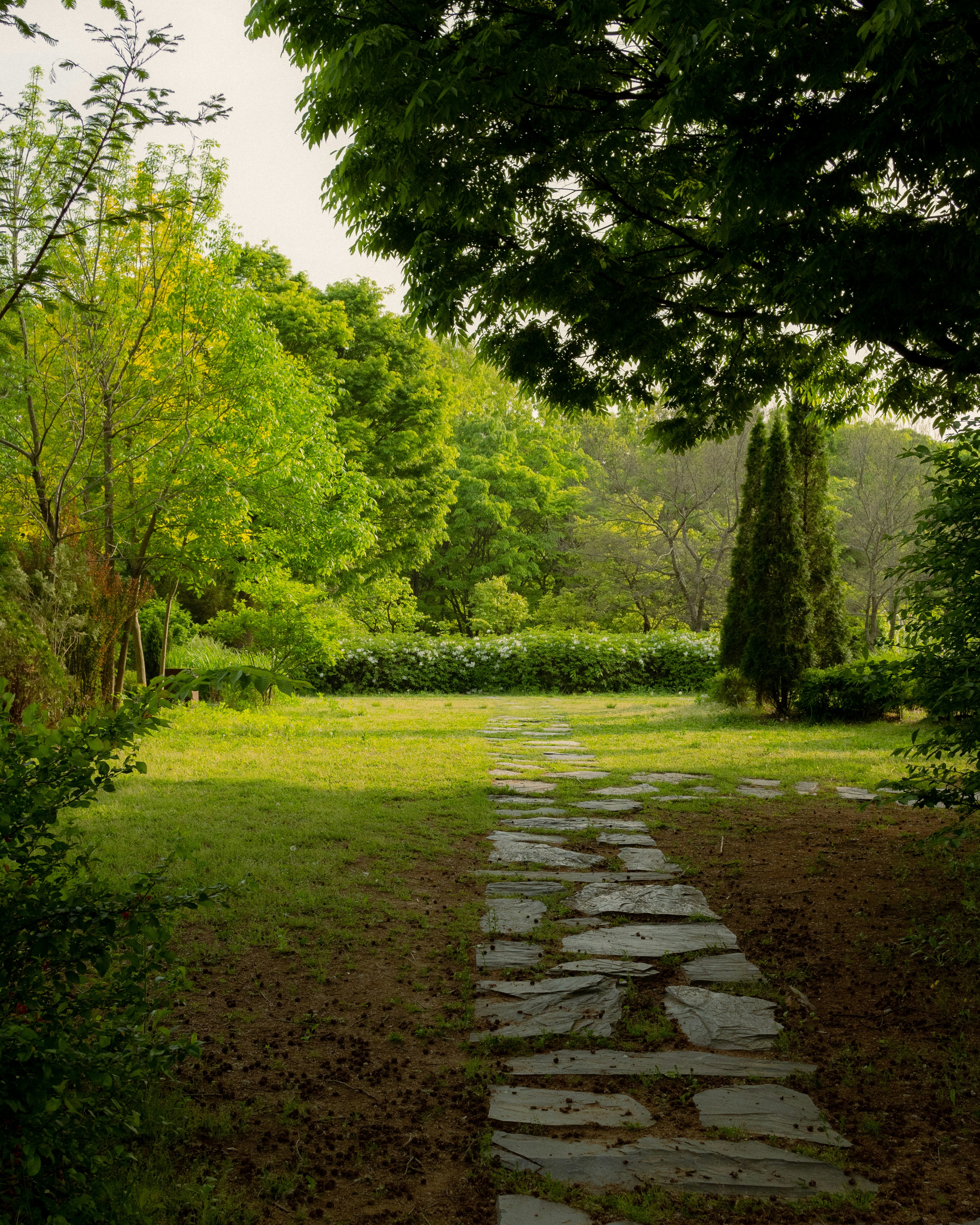 a stone path in the middle of a lush green park