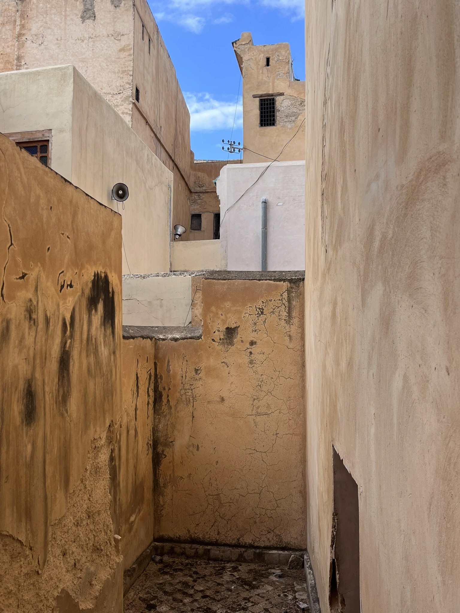 Gallery image 16