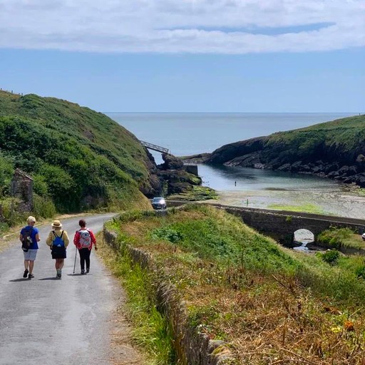 Members out for a walk and a dip in Ballymacaw