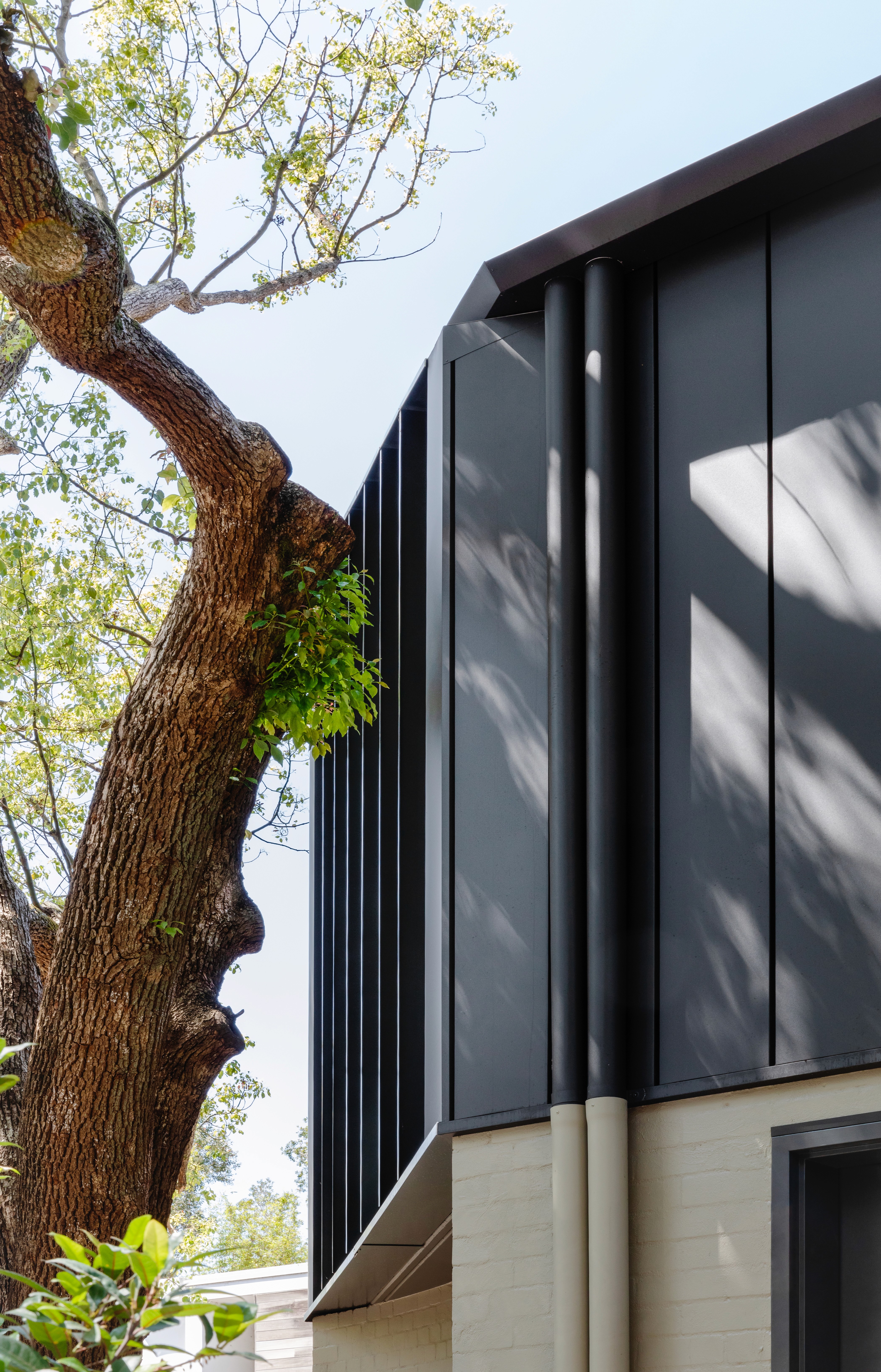 Side elevation of the Woollahra Treehouse showing the junction of dark metal cladding and pale brick base, framed by dense garden planting and existing trees.
