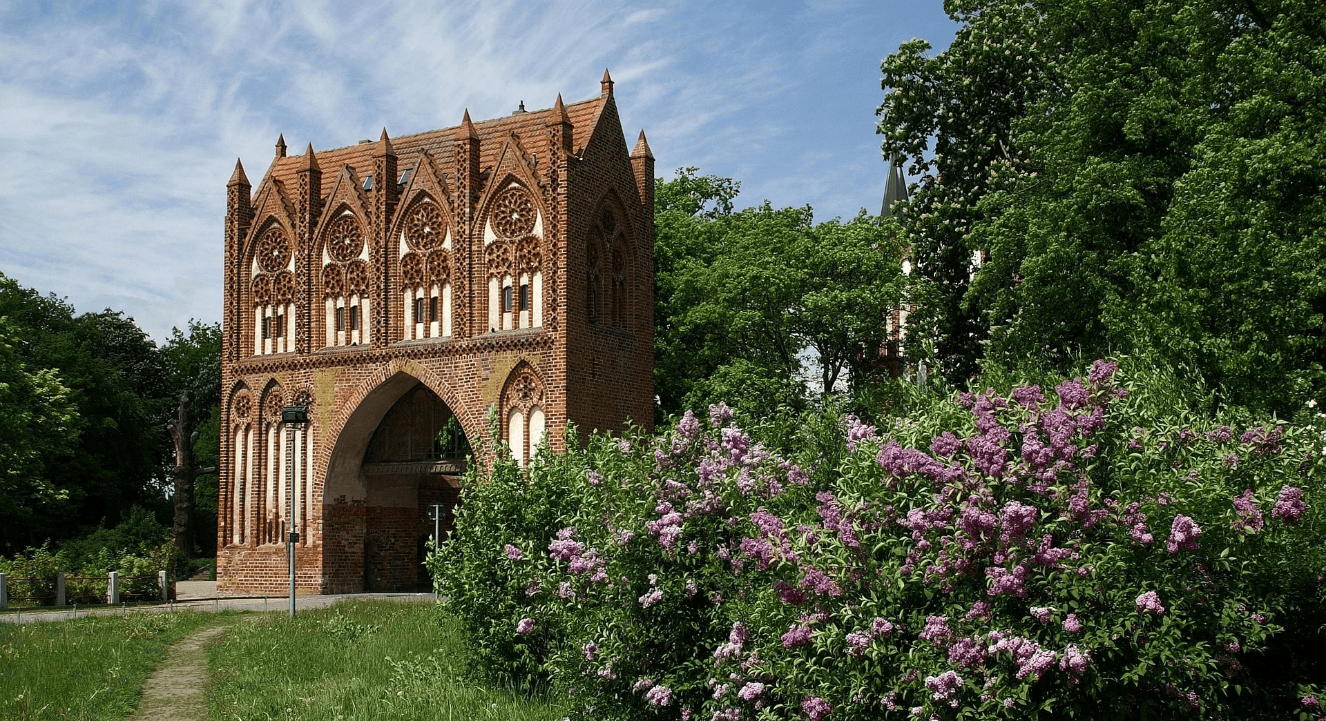 baumpflege Neubrandenburg 