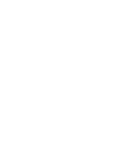 Pyra Logo