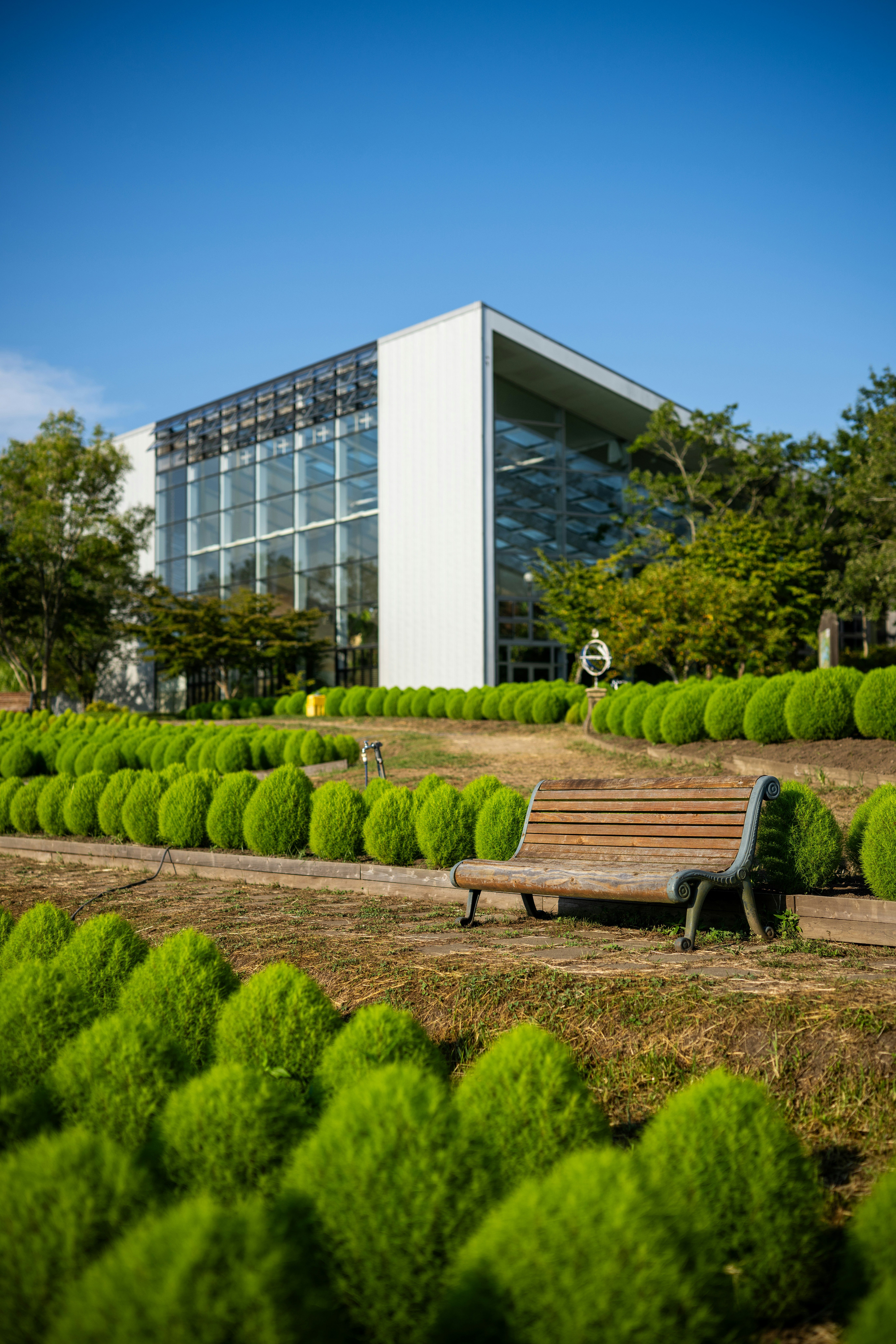 Modern building with green landscaping and a bench.