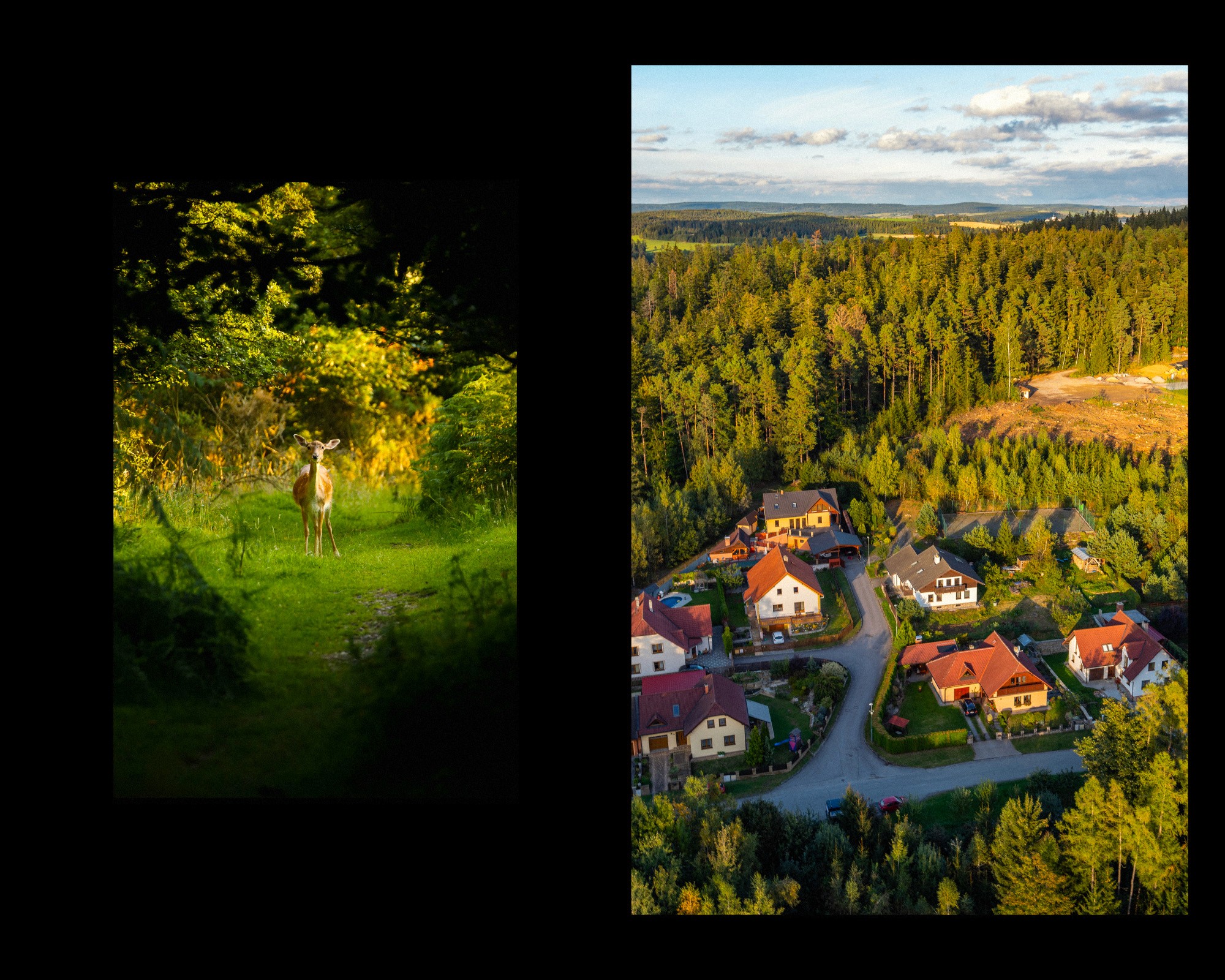 Silla Hotels And Restaurants Brand Mood Board, Hotel Moodboard, Restaurant Moodboard