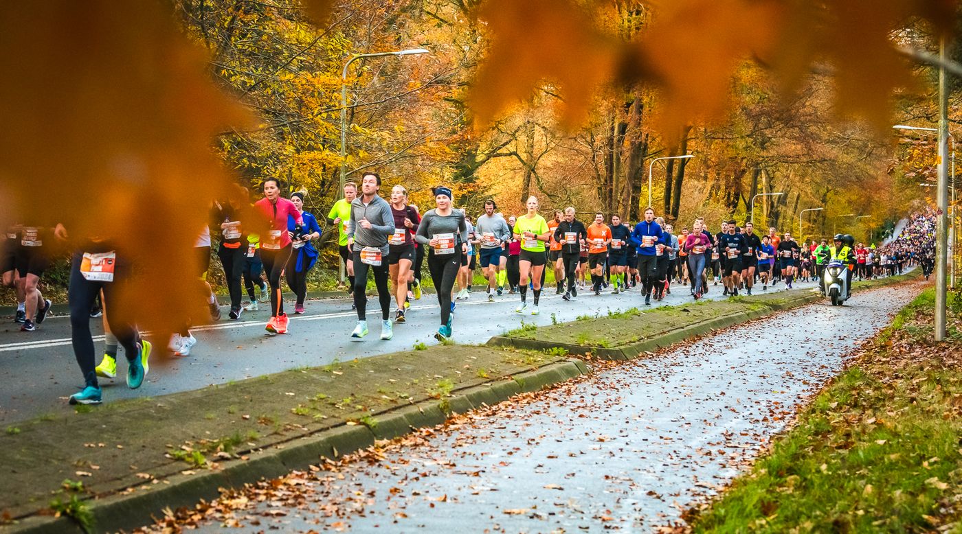 Dam tot Damloop
