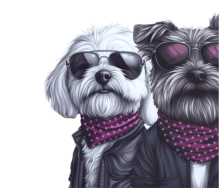 Two small dogs wearing sunglasses and bandanas, styled with a confident, human-like attitude