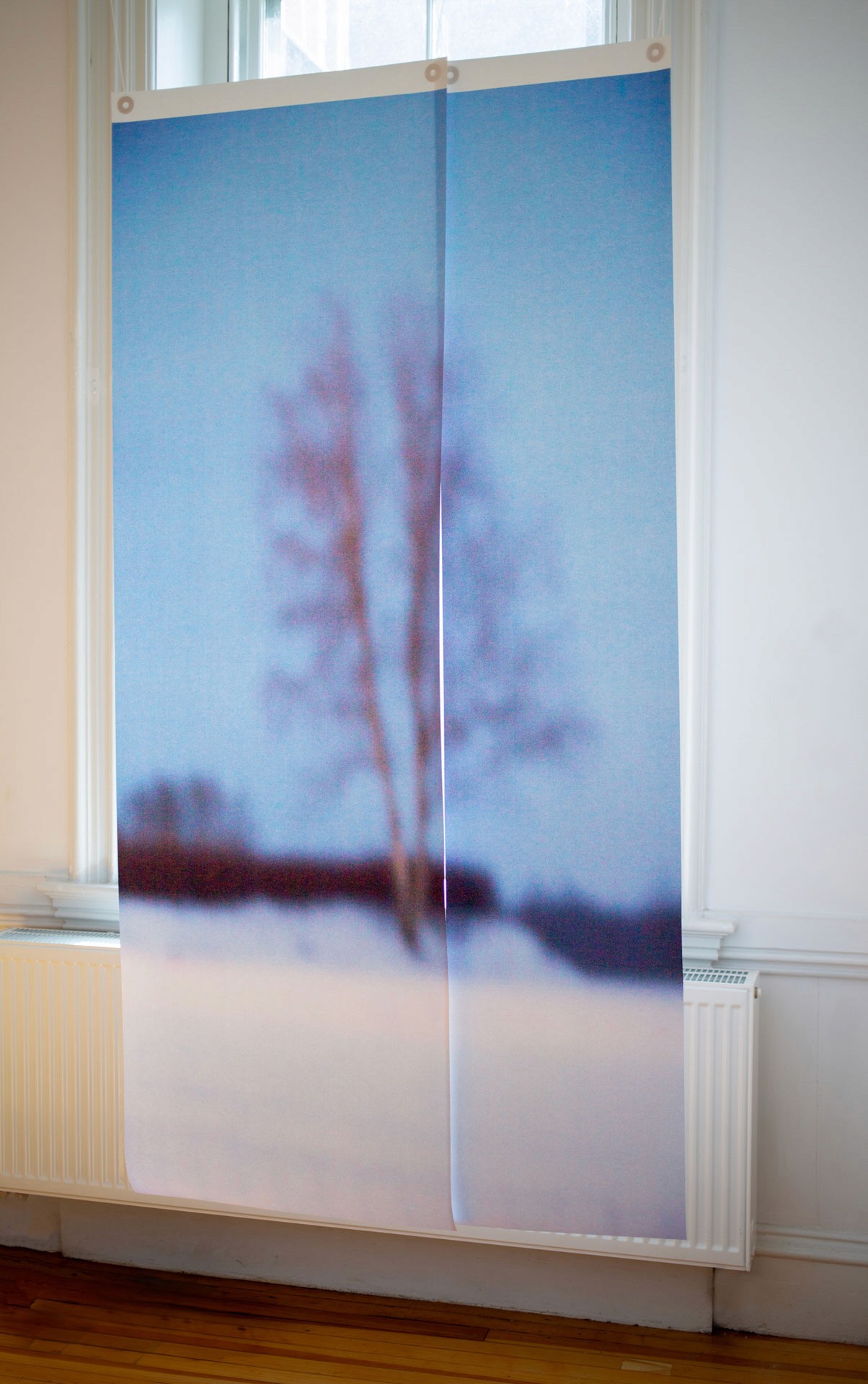 Austmarka, 2024, inkjet print on rice paper72x37"