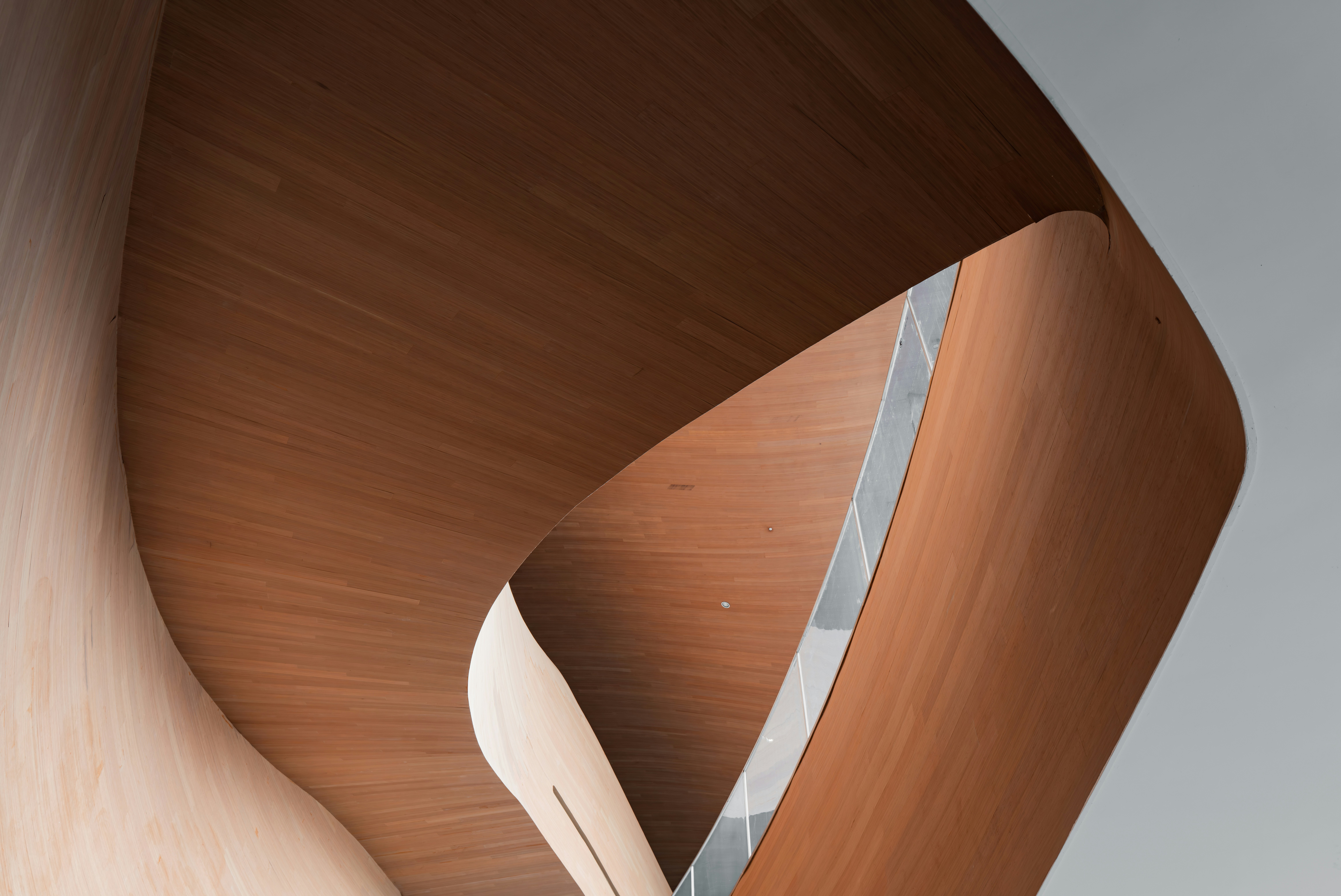 Curving wooden interior with a glimpse of a hallway.