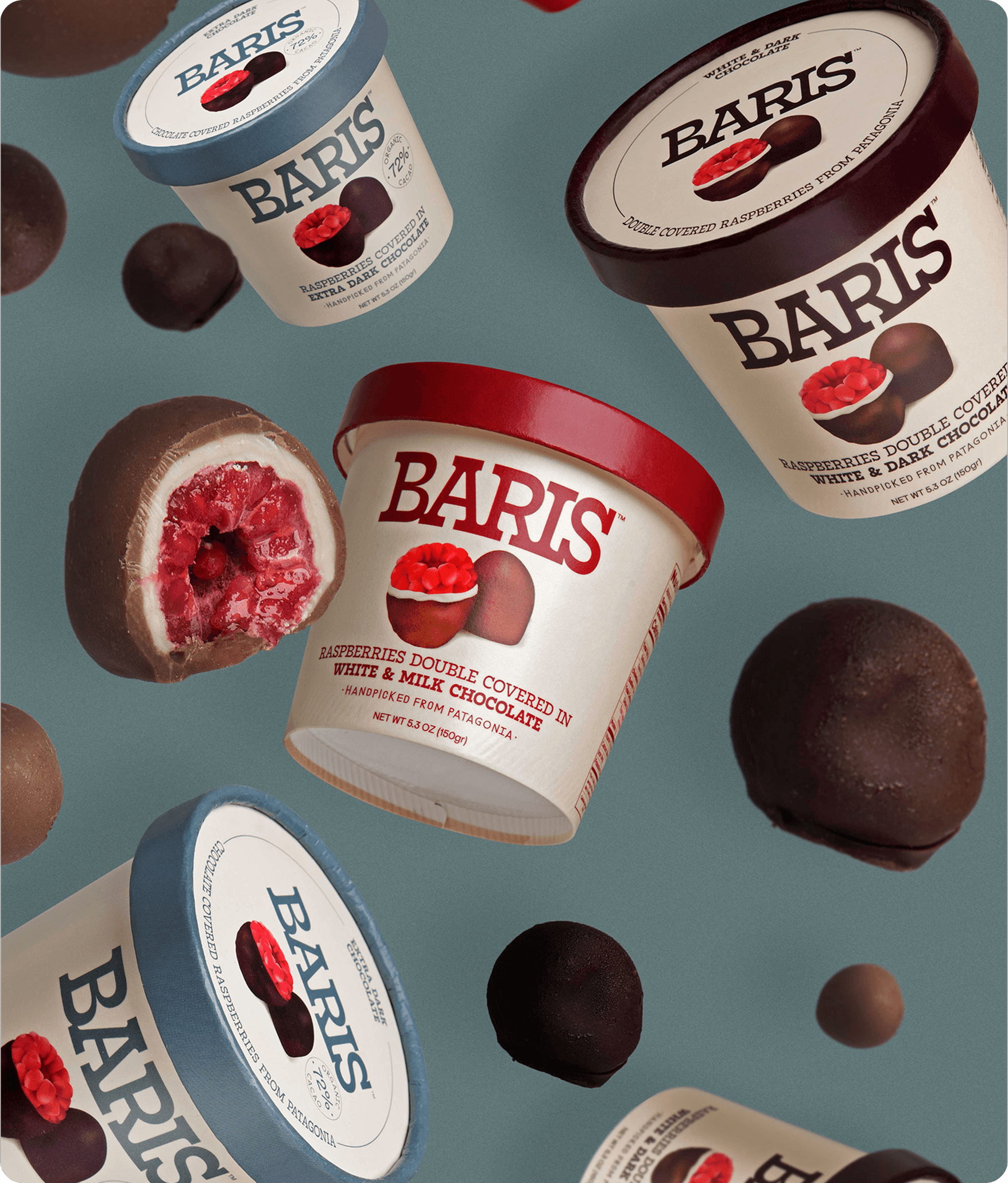 Lush garden with blooming hydrangeas and a house