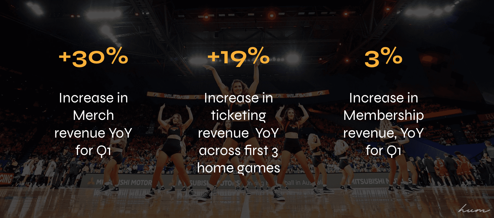 Hum Perth Wildcats rebrand and campaign results