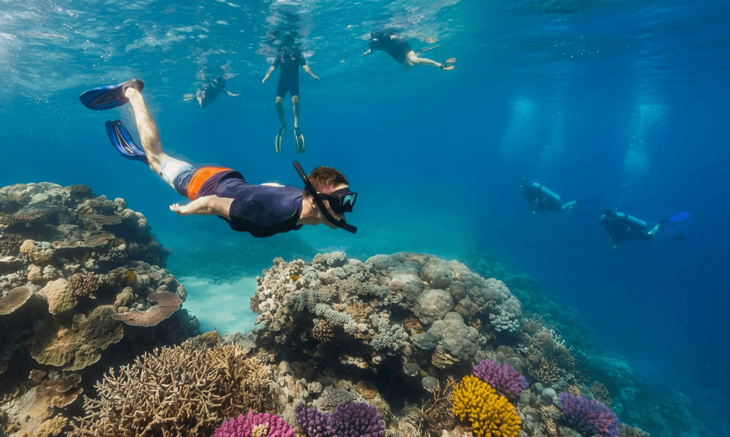 A diver in a wetsuit and mask faces forward underwater, enveloped by dozens of black and white striped fish on a reef.