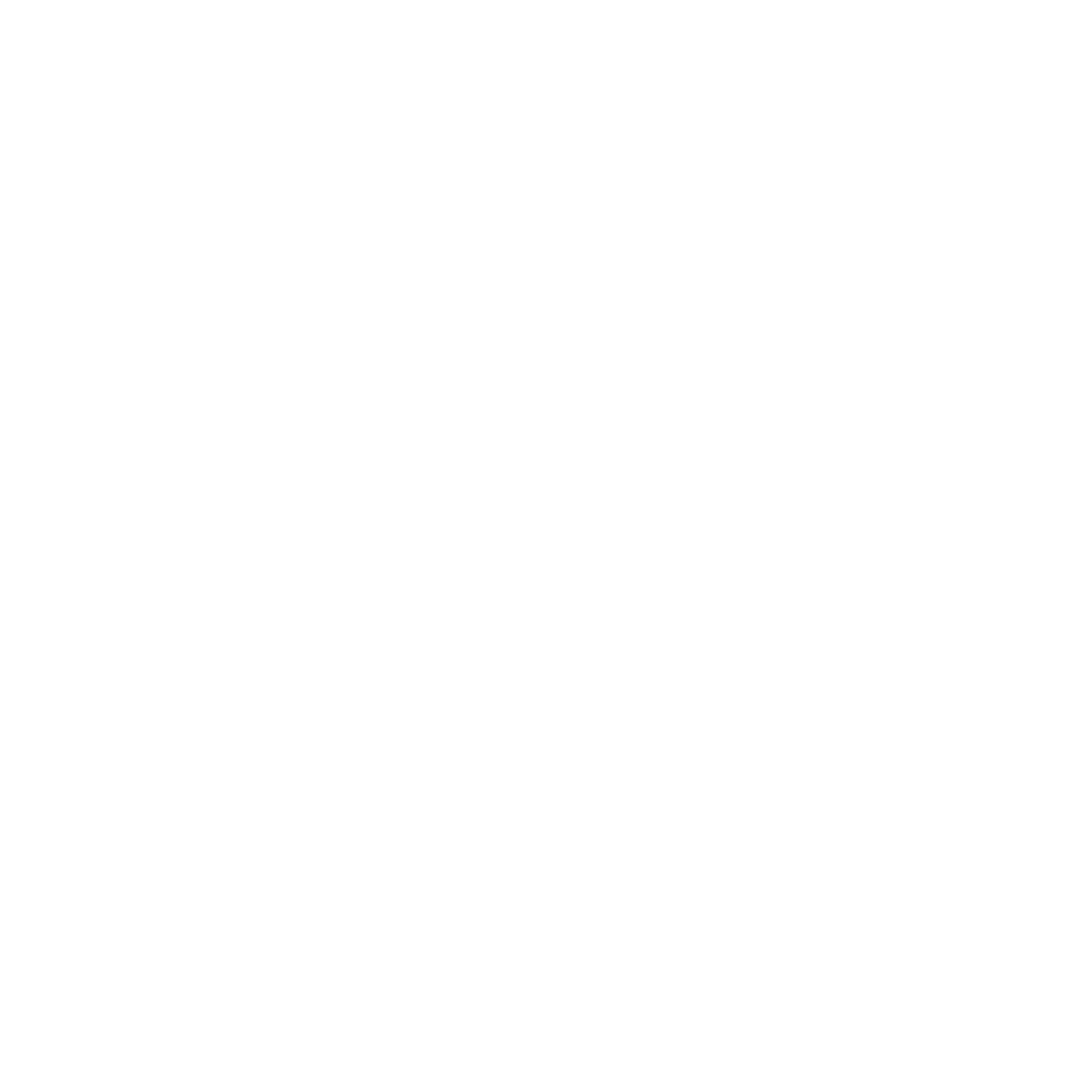 Southeastern Freightlines Logo