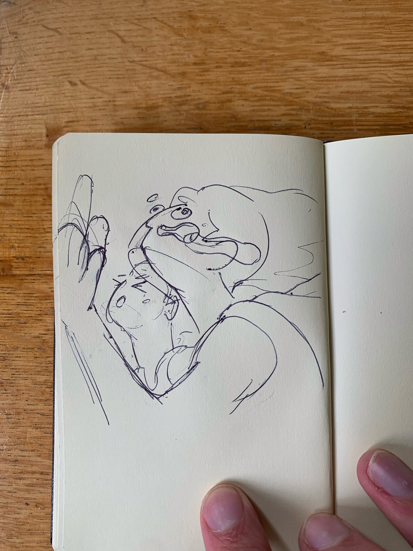 Image of a cardboard mould