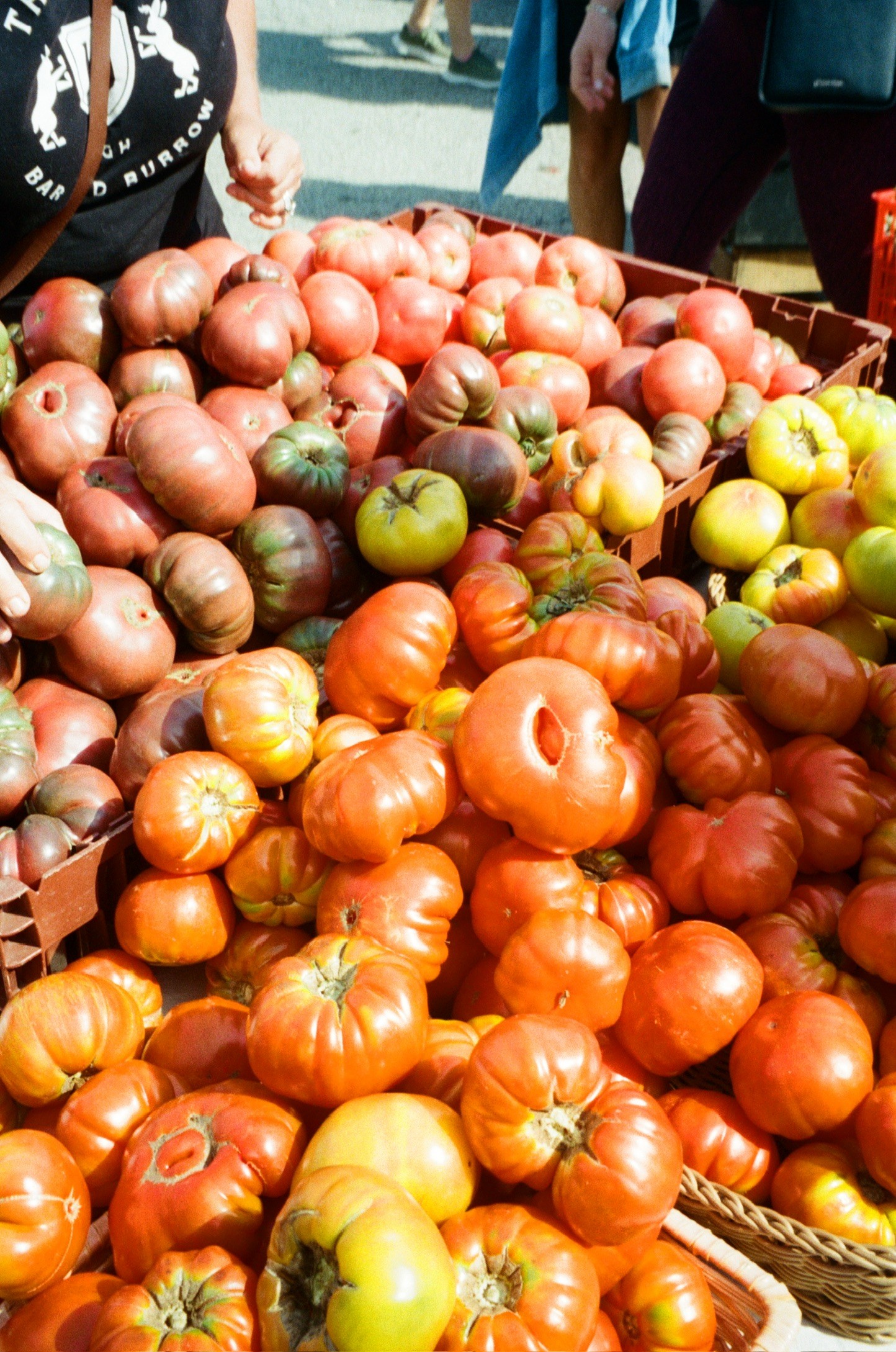 Heirloom tomatoes piled at a farmers market stand